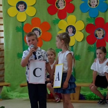 Wyświetl org. rozmiar