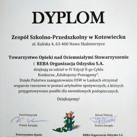 Wyświetl org. rozmiar