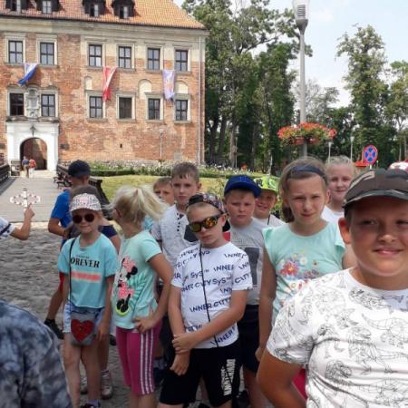 Wyświetl org. rozmiar