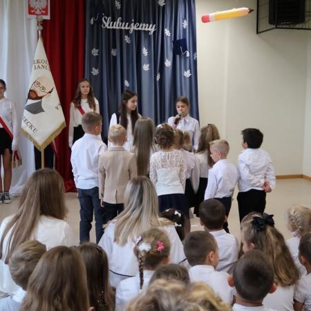 Wyświetl org. rozmiar