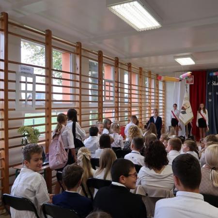 Wyświetl org. rozmiar