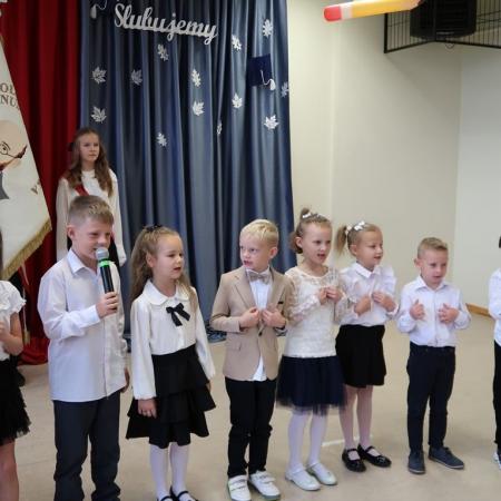 Wyświetl org. rozmiar