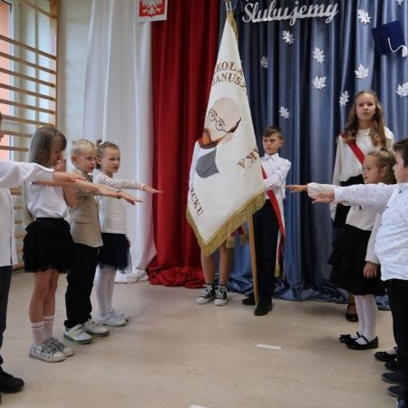 Wyświetl org. rozmiar