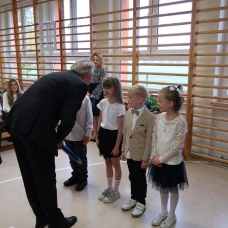 Wyświetl org. rozmiar