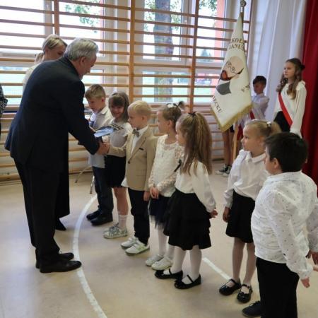 Wyświetl org. rozmiar