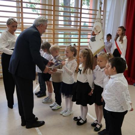 Wyświetl org. rozmiar