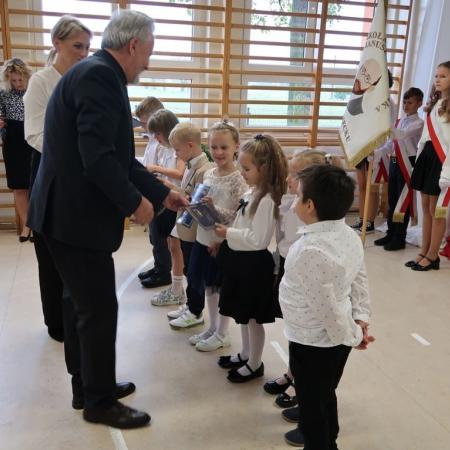 Wyświetl org. rozmiar