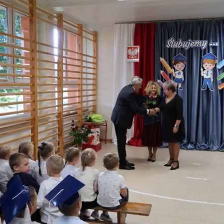 Wyświetl org. rozmiar