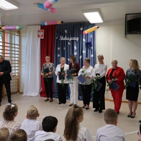 Wyświetl org. rozmiar