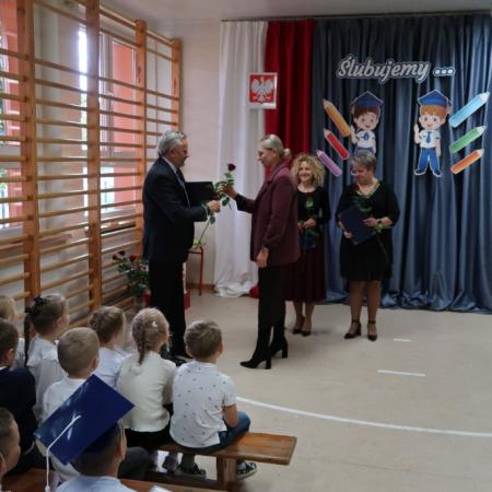 Wyświetl org. rozmiar