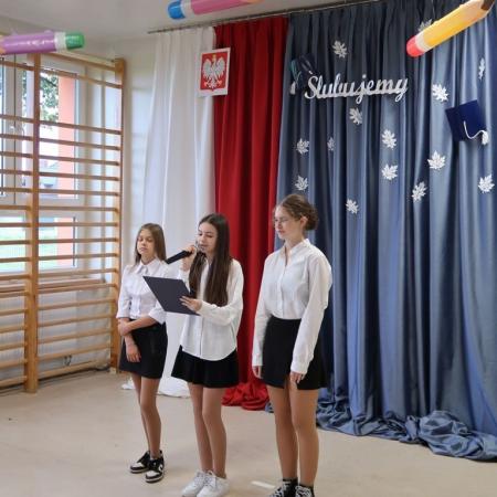 Wyświetl org. rozmiar