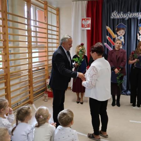 Wyświetl org. rozmiar