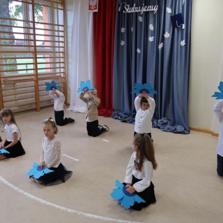 Wyświetl org. rozmiar