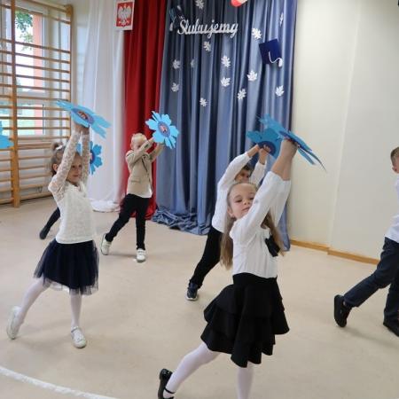 Wyświetl org. rozmiar