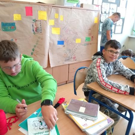 Wyświetl org. rozmiar