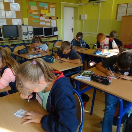 Wyświetl org. rozmiar