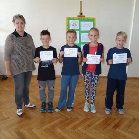 Wyświetl org. rozmiar