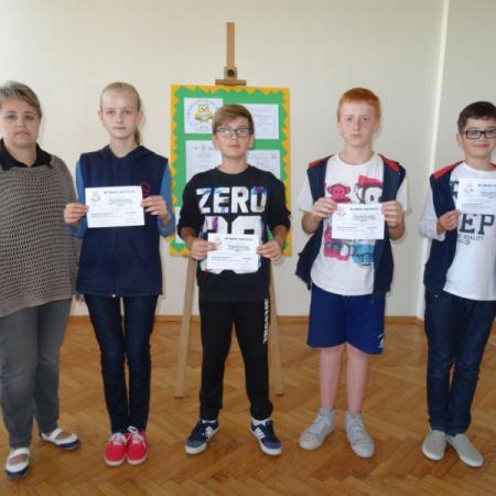 Wyświetl org. rozmiar