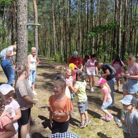 Wyświetl org. rozmiar