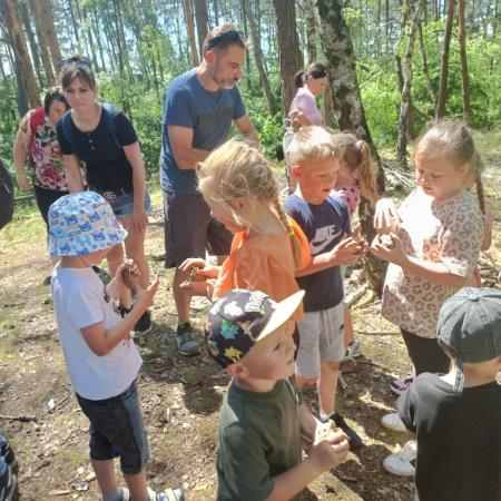 Wyświetl org. rozmiar