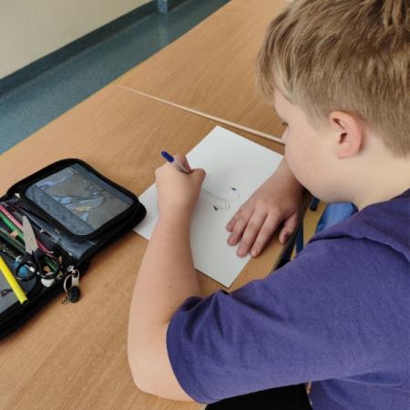 Wyświetl org. rozmiar