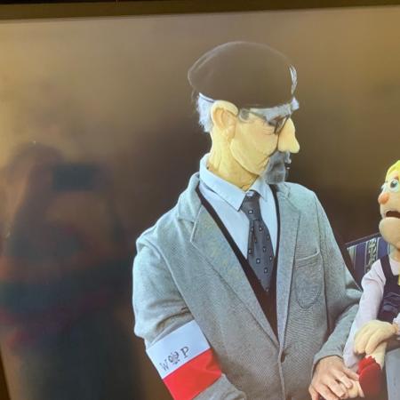 Wyświetl org. rozmiar