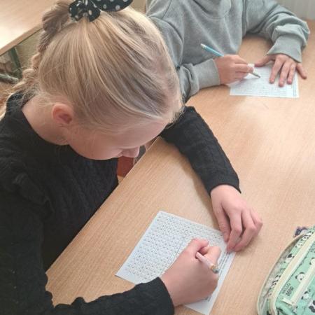 Wyświetl org. rozmiar