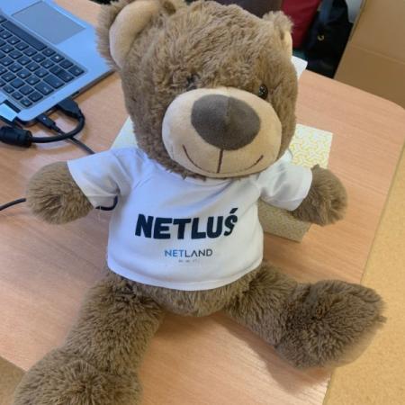 Wyświetl org. rozmiar