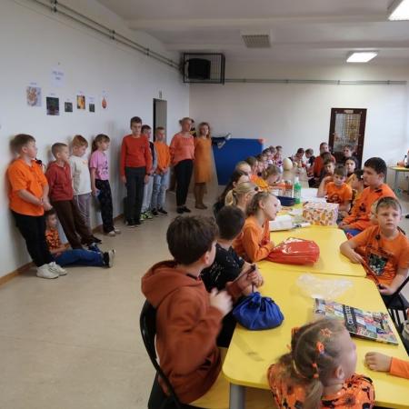 Wyświetl org. rozmiar