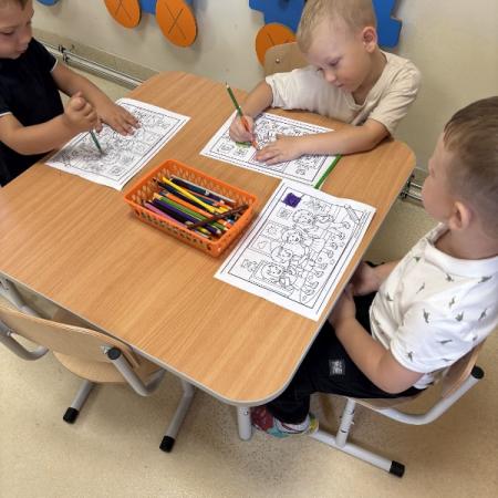 Wyświetl org. rozmiar