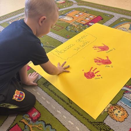 Wyświetl org. rozmiar