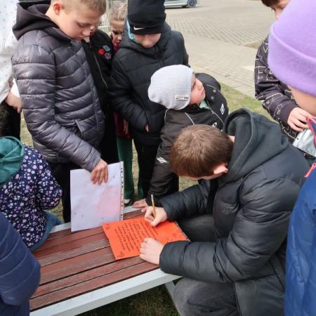 Wyświetl org. rozmiar