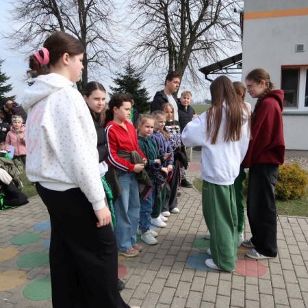 Wyświetl org. rozmiar