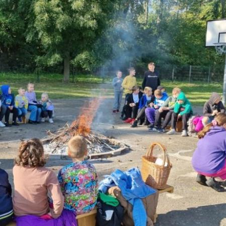 Wyświetl org. rozmiar