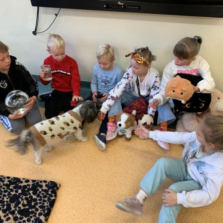 Wyświetl org. rozmiar