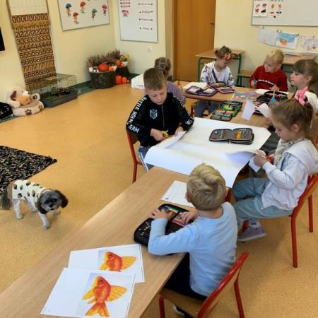 Wyświetl org. rozmiar