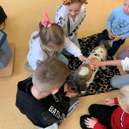 Wyświetl org. rozmiar