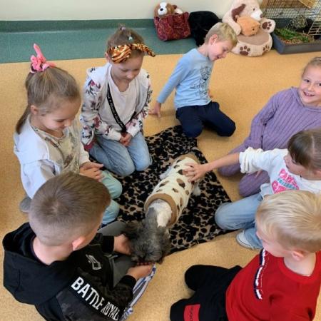 Wyświetl org. rozmiar