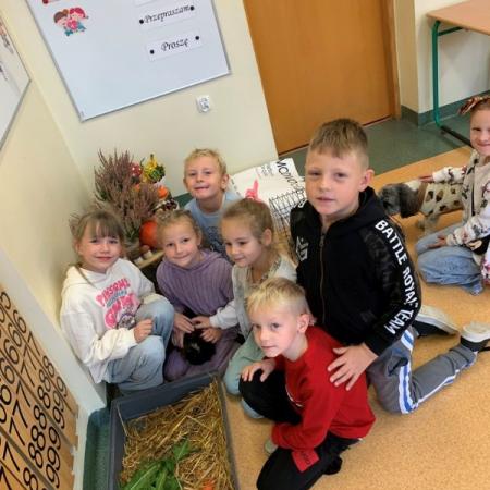 Wyświetl org. rozmiar