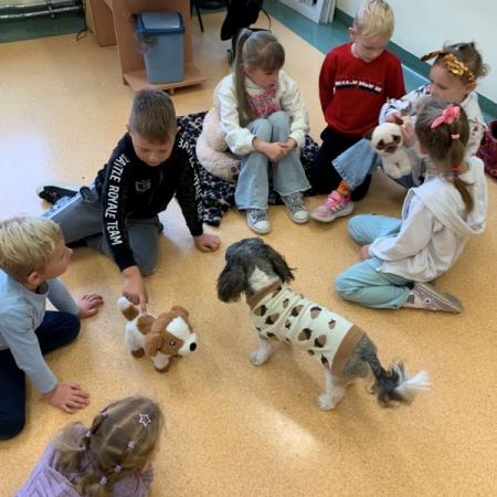 Wyświetl org. rozmiar