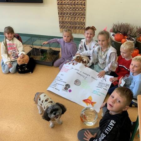 Wyświetl org. rozmiar