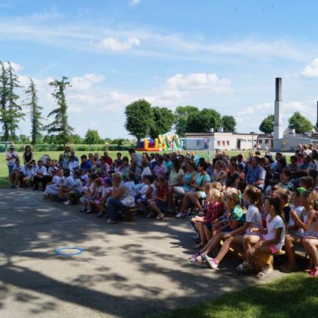 Wyświetl org. rozmiar