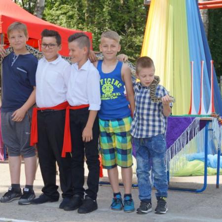 Wyświetl org. rozmiar