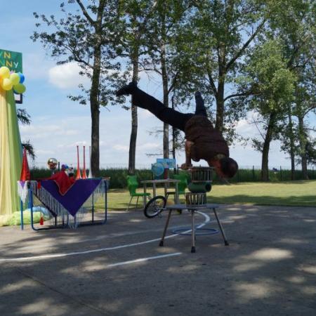 Wyświetl org. rozmiar