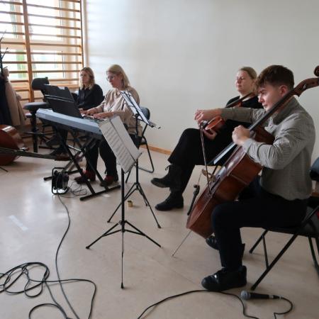 Wyświetl org. rozmiar