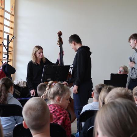 Wyświetl org. rozmiar