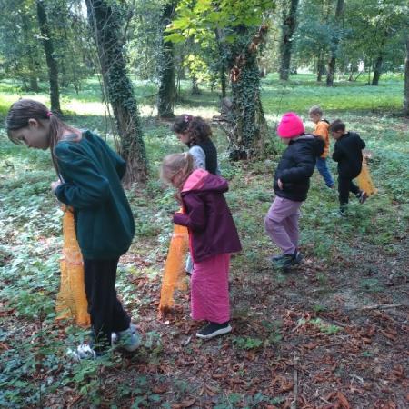 Wyświetl org. rozmiar