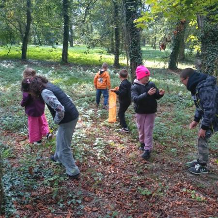 Wyświetl org. rozmiar