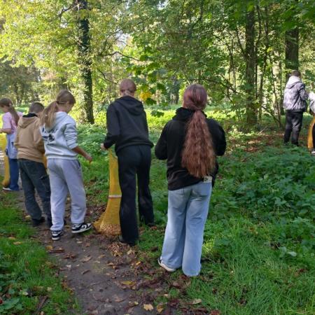 Wyświetl org. rozmiar