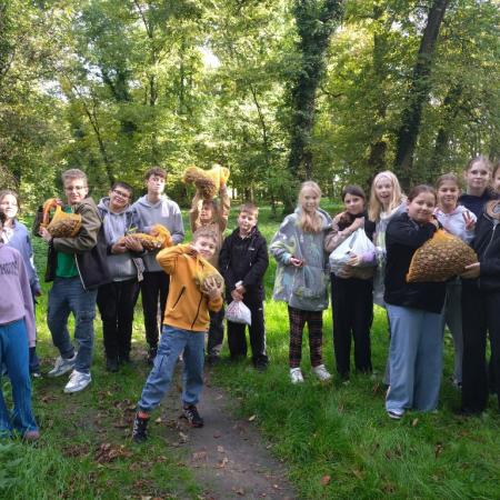 Wyświetl org. rozmiar